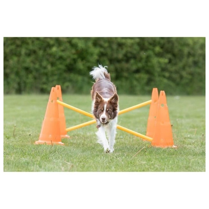 TRIXIE Lot de 3 Activités d'obstacle - Ø 23 × 30 cm - 78 cm - Orange et jaune - Pour chien