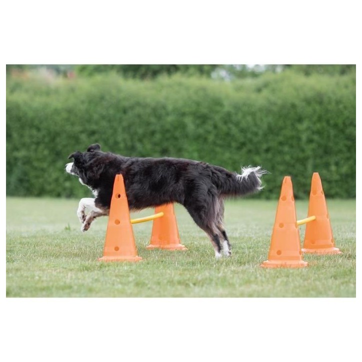 TRIXIE Lot de 3 Activités d'obstacle - Ø 23 × 30 cm - 78 cm - Orange et jaune - Pour chien
