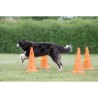 TRIXIE Lot de 3 Activités d'obstacle - Ø 23 × 30 cm - 78 cm - Orang