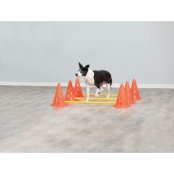 TRIXIE Lot de 3 Activités d'obstacle - Ø 23 × 30 cm - 78 cm - Orang