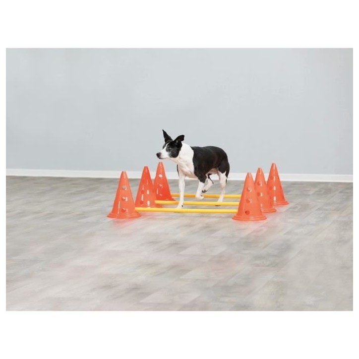 TRIXIE Lot de 3 Activités d'obstacle - Ø 23 × 30 cm - 78 cm - Orange et jaune - Pour chien