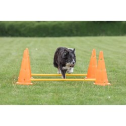 TRIXIE Lot de 3 Activités d'obstacle - Ø 23 × 30 cm - 78 cm - Orang