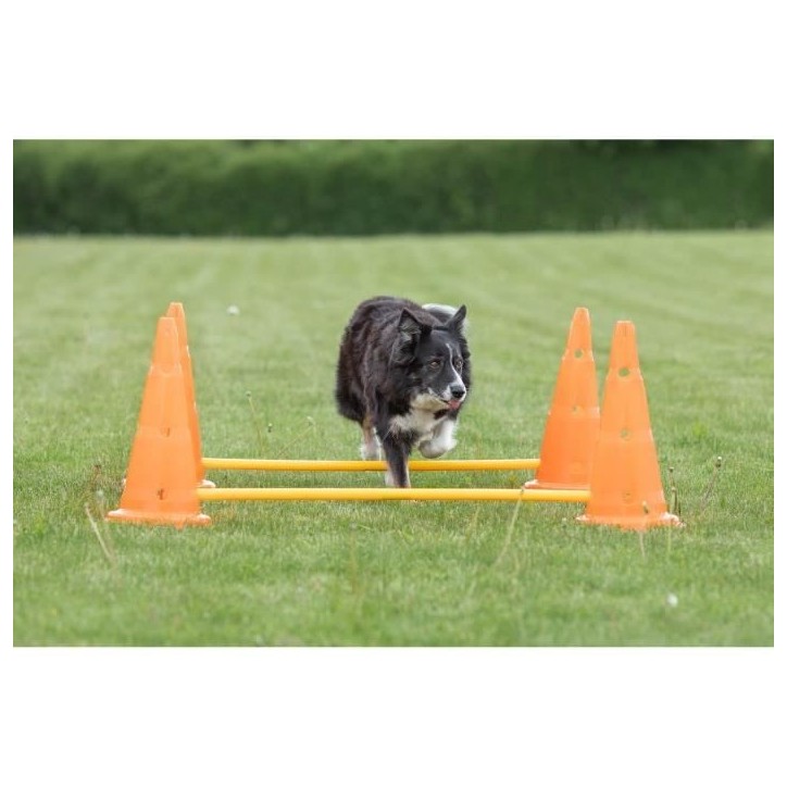 TRIXIE Lot de 3 Activités d'obstacle - Ø 23 × 30 cm - 78 cm - Orange et jaune - Pour chien