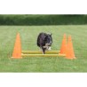 TRIXIE Lot de 3 Activités d'obstacle - Ø 23 × 30 cm - 78 cm - Orang
