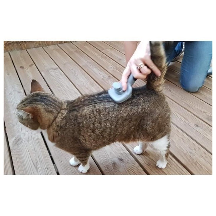 Brosse toilettage - VETOCANIS - Carde auto-nettoyante pour chat - Rétractable - Pour poils longs