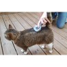 Brosse toilettage - VETOCANIS - Carde auto-nettoyante pour chat - Rét Brosse toilettage - VETOCANIS - Carde auto-nettoyante pour chat - Rét