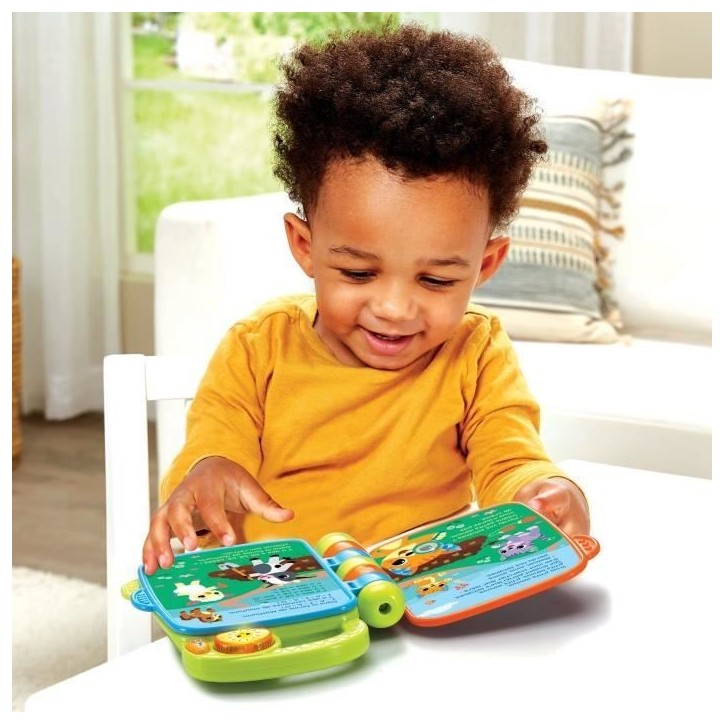 VTECH-LIVRE A COMPTINES DES P'TITS LOULOUS VTECH-LIVRE A COMPTINES DES P'TITS LOULOUS