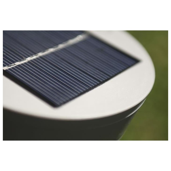 Roseau solaire court - 30 lumens - Blanc Roseau solaire court - 30 lumens - Blanc