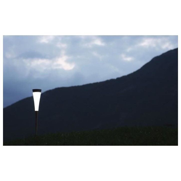 Roseau solaire court - 30 lumens - Blanc Roseau solaire court - 30 lumens - Blanc