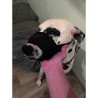 YAGO Museliere en Nylon Noir pour Grand Chien, Partie Museau avec File YAGO Museliere en Nylon Noir pour Grand Chien, Partie Museau avec File
