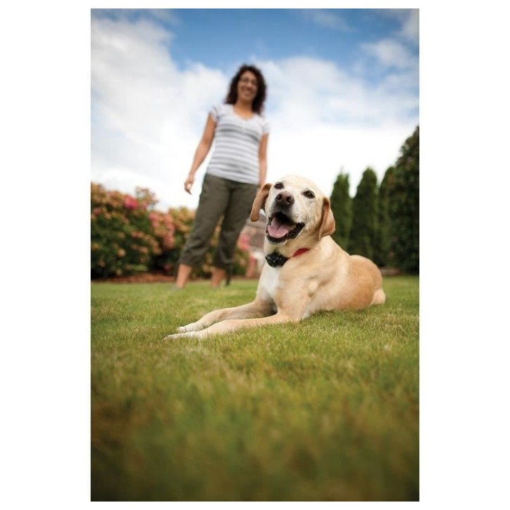 PetSafe - Systeme de Clôture Anti-fugue avec Fil pour Chien de plus 3,6 Kg – Avertissement Sonore/Eléctrostatique,Facile a PetSafe - Systeme de Clôture Anti-fugue avec Fil pour Chien de plus 3,6 Kg – Avertissement Sonore/Eléctrostatique,Facile a