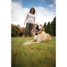 PetSafe - Systeme de Clôture Anti-fugue avec Fil pour Chien de plus 3