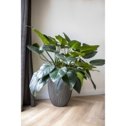 CAPI EUROPE Vase élégant bas GROOVE NL - 34x46 cm - Anthracite