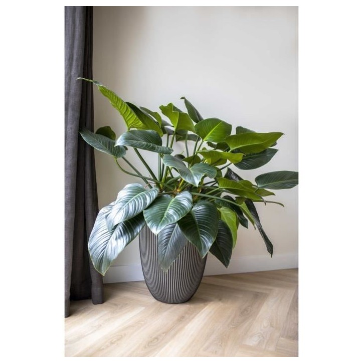 CAPI EUROPE Vase élégant bas GROOVE NL - 34x46 cm - Anthracite CAPI EUROPE Vase élégant bas GROOVE NL - 34x46 cm - Anthracite