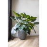 CAPI EUROPE Vase élégant bas GROOVE NL - 34x46 cm - Anthracite