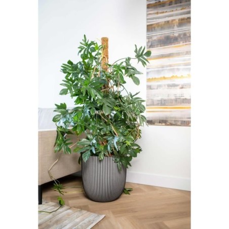 CAPI EUROPE Pot de fleurs boule GROOVE NL - 43x41 cm - Anthracite