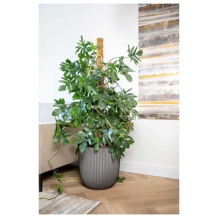 CAPI EUROPE Pot de fleurs boule GROOVE NL - 43x41 cm - Anthracite