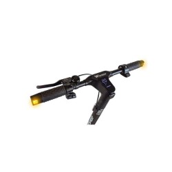 Trottinette électrique - WISPEED - C10-40 PRO - 350W nominal - 10'' -
