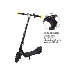 Trottinette électrique - WISPEED - C10-40 PRO - 350W nominal - 10'' -