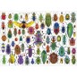 Puzzle - EDUCA - Scarabées - 500 pieces