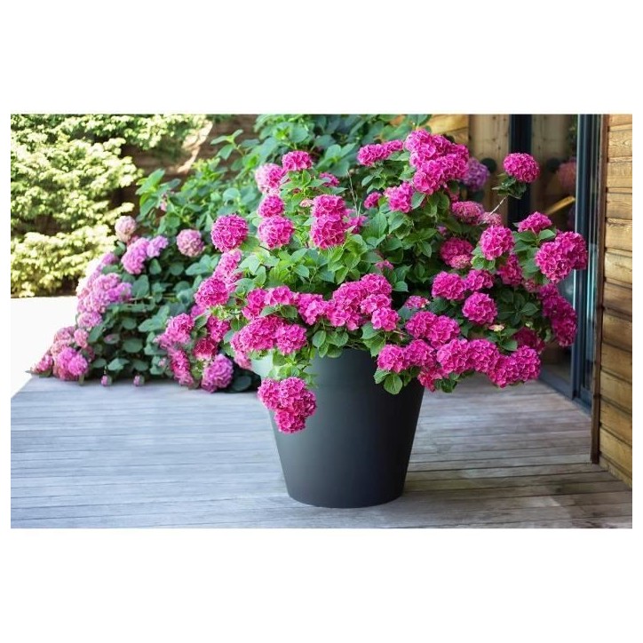 EDA Pot de fleur rond TOSCANE - 76 L - Ø 60 x H 47 cm - Gris anthracite EDA Pot de fleur rond TOSCANE - 76 L - Ø 60 x H 47 cm - Gris anthracite