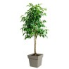 Pot de fleur Carré 40 cm - EDA - Toscane - 38 L - 39 x 39 x H.39 cm -