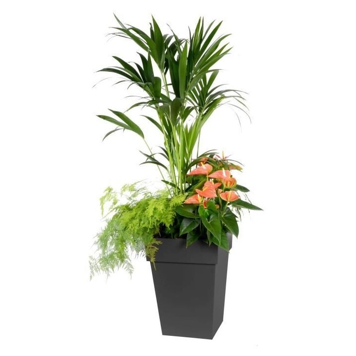 Pot de fleur mi-haut Carré 40 cm - EDA - Toscane - 51 L - 39 x 39 x H. 53 cm - Gris Anthracite Pot de fleur mi-haut Carré 40 cm - EDA - Toscane - 51 L - 39 x 39 x H. 53 cm - Gris Anthracite