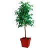 EDA Pot de fleur carré TOSCANE - 38 L - 39 x 39 x H39cm - Résistant