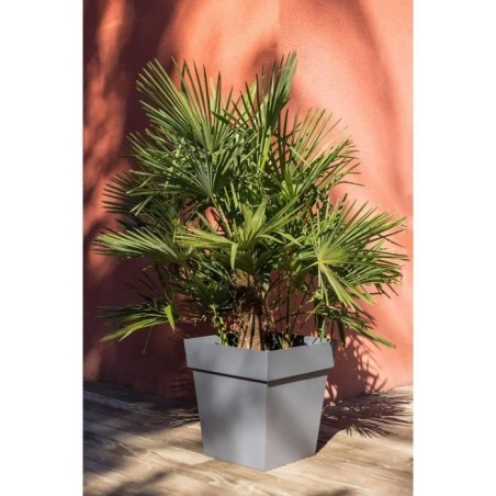 Pot de fleurs Carré 50 cm - EDA - Toscane - 87 L - 49,5 x 49,5 x H.52,5 cm - Gris Anthracite