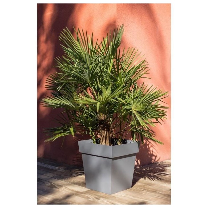 Pot de fleurs Carré 50 cm - EDA - Toscane - 87 L - 49,5 x 49,5 x H.52,5 cm - Gris Anthracite