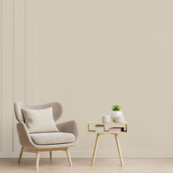 Peinture esprit deco multi-supports - RIPOLIN - 434162 - Beige wes - S