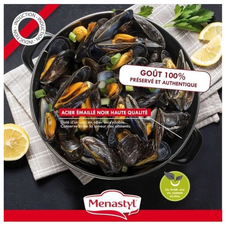 Marmite a moule - MENASTYL - 3645567 - En acier émaillé - Noir - 18 cm - 2,7 litres - Tous feux dont induction Marmite a moule - MENASTYL - 3645567 - En acier émaillé - Noir - 18 cm - 2,7 litres - Tous feux dont induction