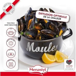 Marmite a moule - MENASTYL - 3645563 - En acier émaillé - Noir - 18