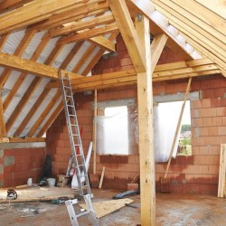 Traitement Poutres & Charpentes - Xylophene - 5L - Incolore - Insectic