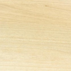 Vitrificateur Satin BONDEX pour Proteger et Rénover les Parquets et Escaliers - Incolore