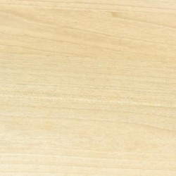 BONDEX - VITRIFICATEUR TRAFIC INTENSE - INCOLORE - SATIN - 5L