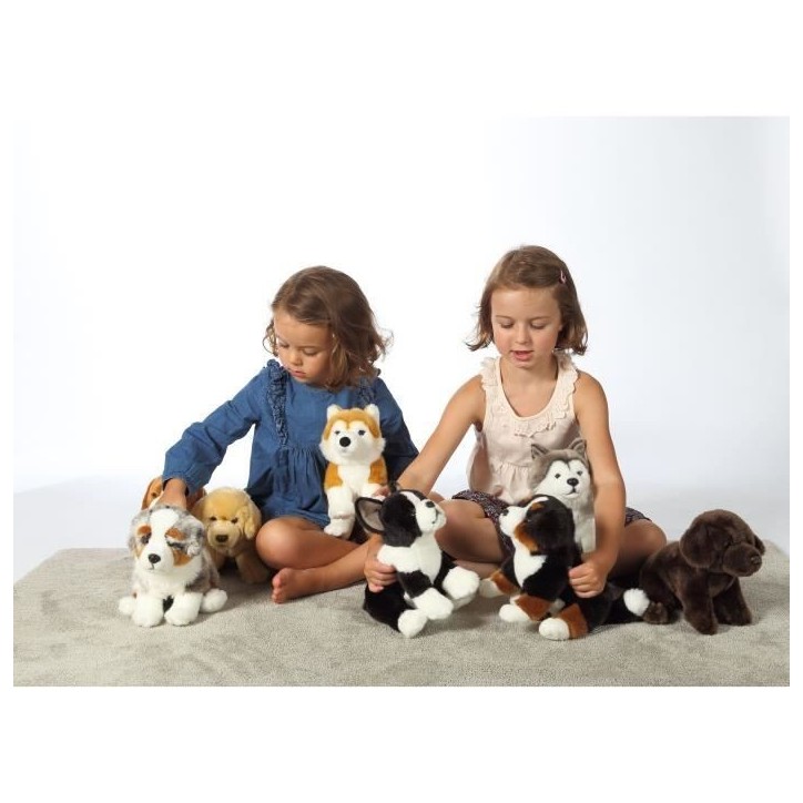 Peluche Chien Husky - GIPSY TOYS - Assis, 25 cm