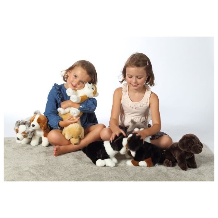 Peluche Chien Husky - GIPSY TOYS - Assis, 25 cm