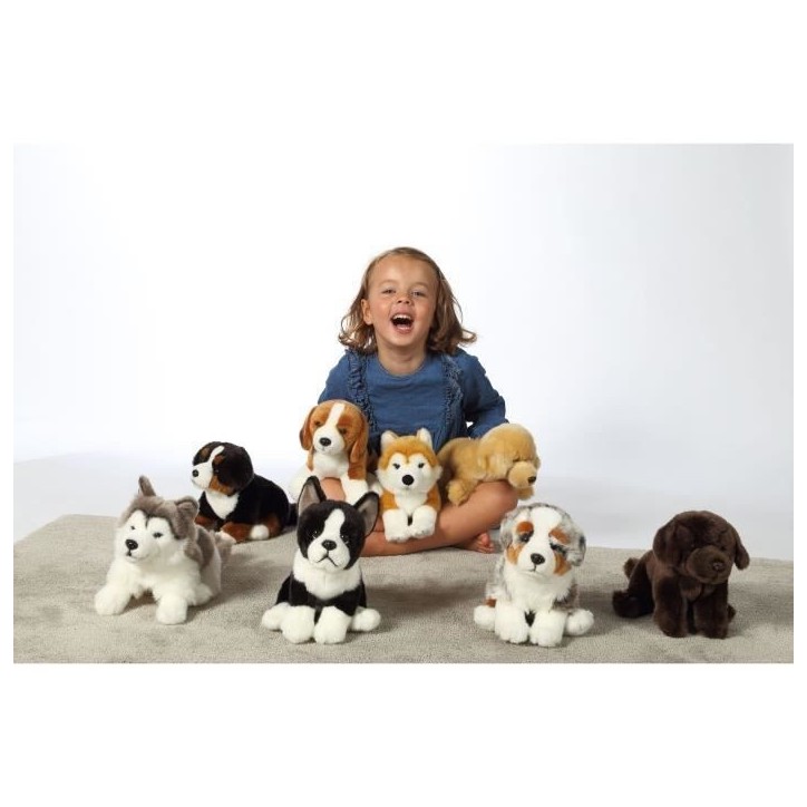 Peluche Chien Bouvier Bernois - GIPSY TOYS - Assis, 25 cm
