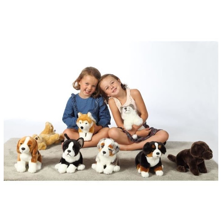 Peluche Chien Bouvier Bernois - GIPSY TOYS - Assis, 25 cm