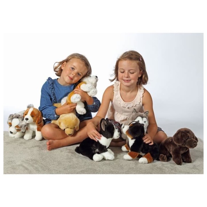Peluche Chien Shiba - GIPSY TOYS - Assis, 25 cm