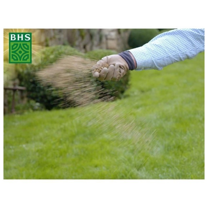 Gazon - BHS - Gazon Regarnissage 5kg Gazon - BHS - Gazon Regarnissage 5kg
