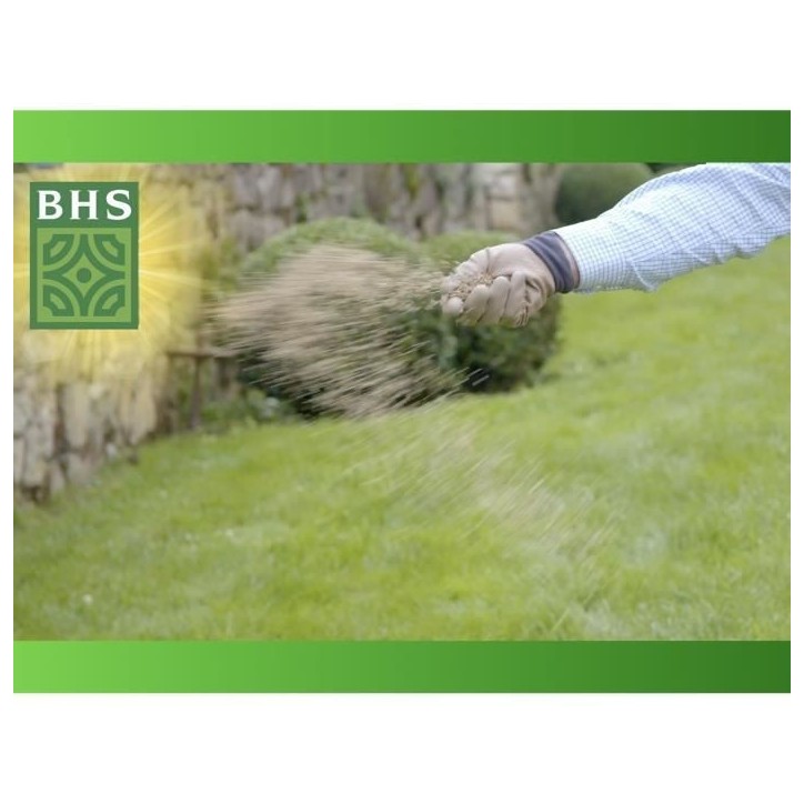Gazon - BHS - Gazon Regarnissage 5kg Gazon - BHS - Gazon Regarnissage 5kg