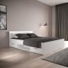 Demeyere Lit adulte MICHIGAN - 160 x 200 cm - Multiples rangements - B