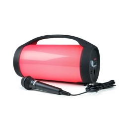 Enceinte sans fil BIGBEN PARTYBTPRO - Bluetooth - USB - Micro SD - AUX