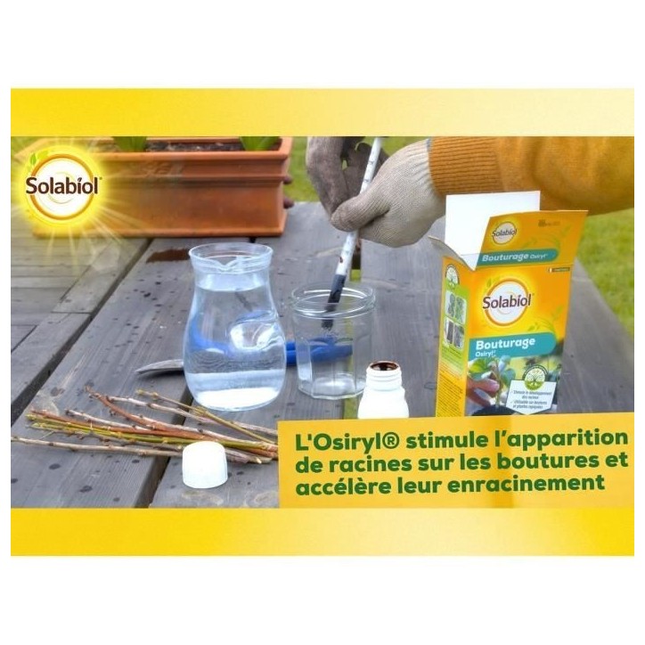 SOLABIOL SOBOUTU40 Bouturage Osiryl 40mL, Stimulateur racinaire SOLABIOL SOBOUTU40 Bouturage Osiryl 40mL, Stimulateur racinaire