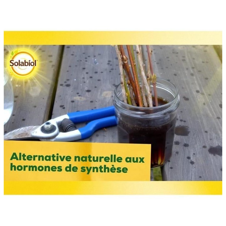 SOLABIOL SOBOUTU40 Bouturage Osiryl 40mL, Stimulateur racinaire SOLABIOL SOBOUTU40 Bouturage Osiryl 40mL, Stimulateur racinaire