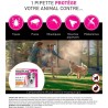 Frontline Tri-Act chien - Anti-puces anti-tiques pour chien S - 5-10kg