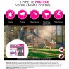 Frontline Tri-Act chien - Anti-puces anti-tiques pour chien L - 20-40k