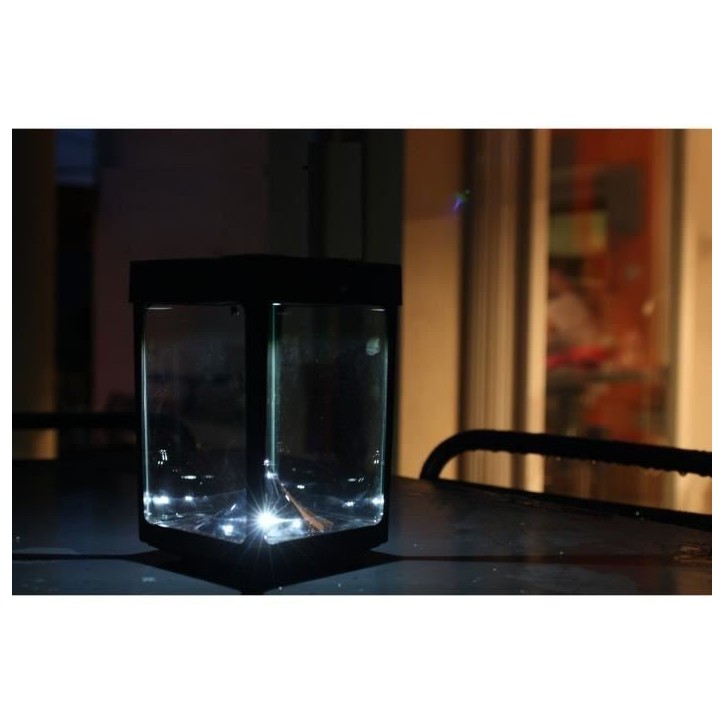 Mini photophore solaire - Parois en verre - Noir - Lampe de table - Énergie solaire - 1 ampoule Mini photophore solaire - Parois en verre - Noir - Lampe de table - Énergie solaire - 1 ampoule